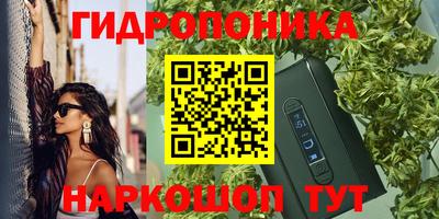 гашик Кулебаки