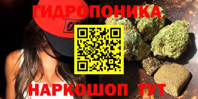гашик Кулебаки