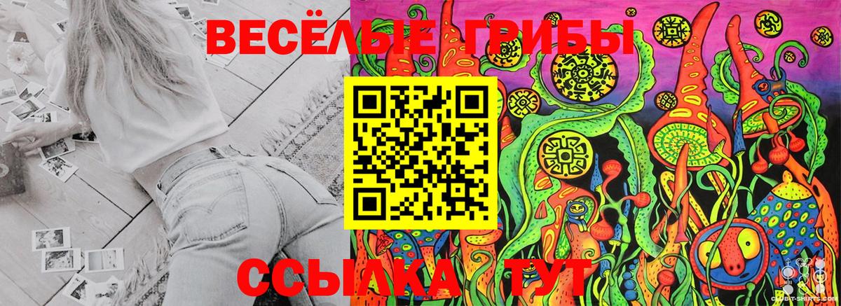 Каспийск  где продают наркотики  Вход с VPN  Галлюциногенные грибы Magic Shrooms  Псилоцибиновые грибы Psilocybine cubensis 