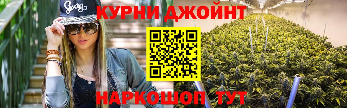 Конопля планчик Каспийск